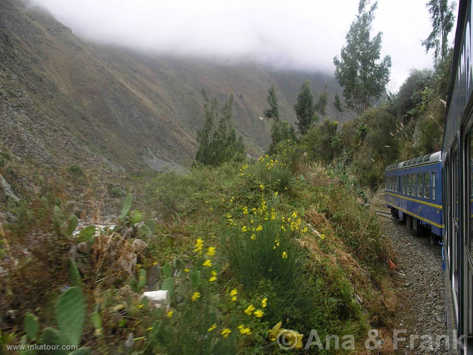 Photo of Peru