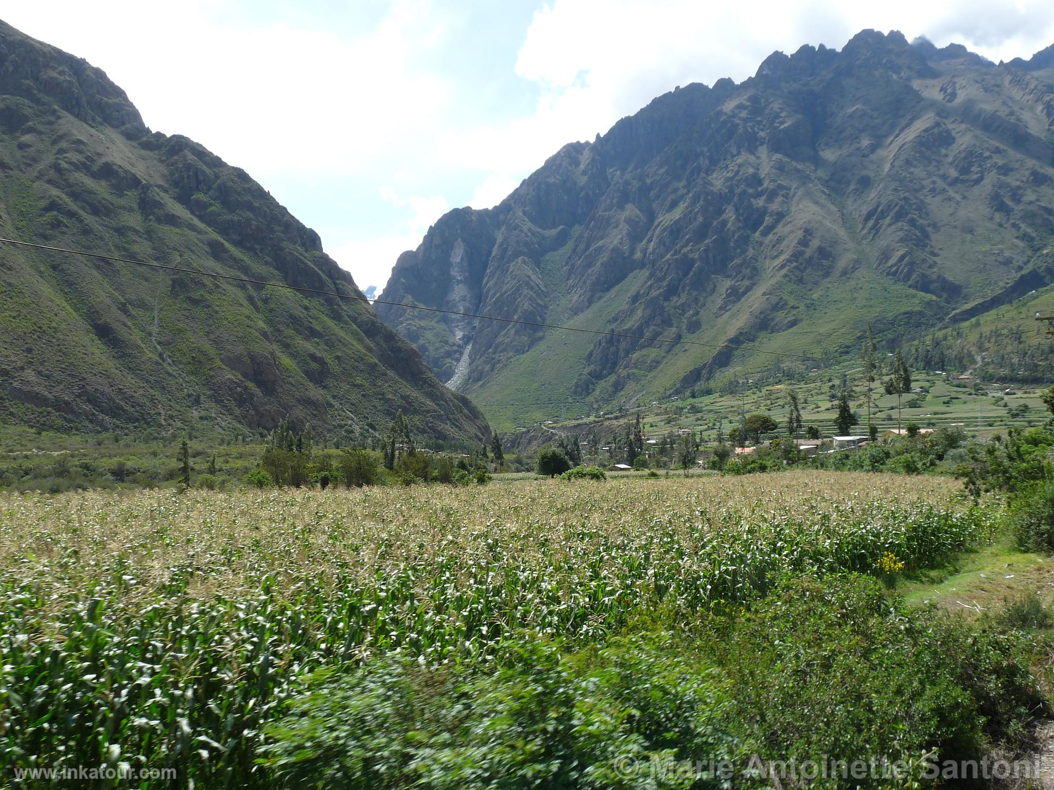 Photo of Peru