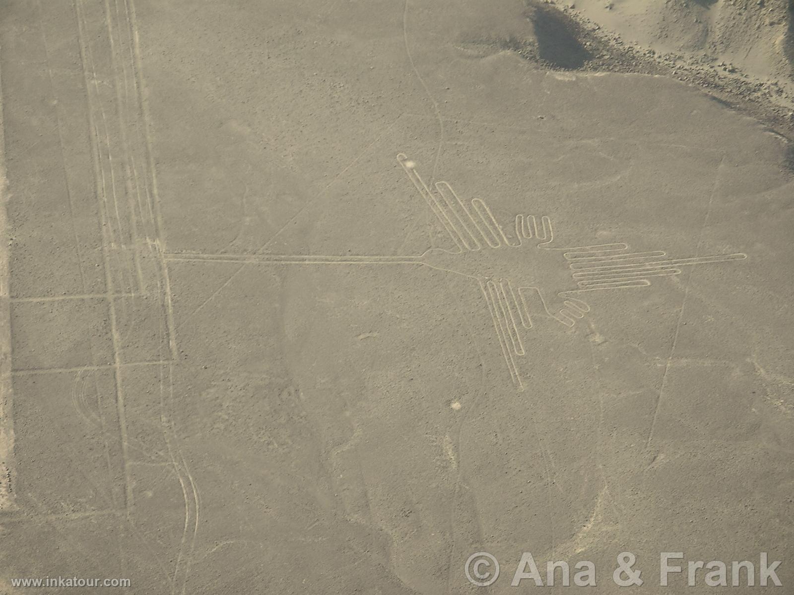 Nazca