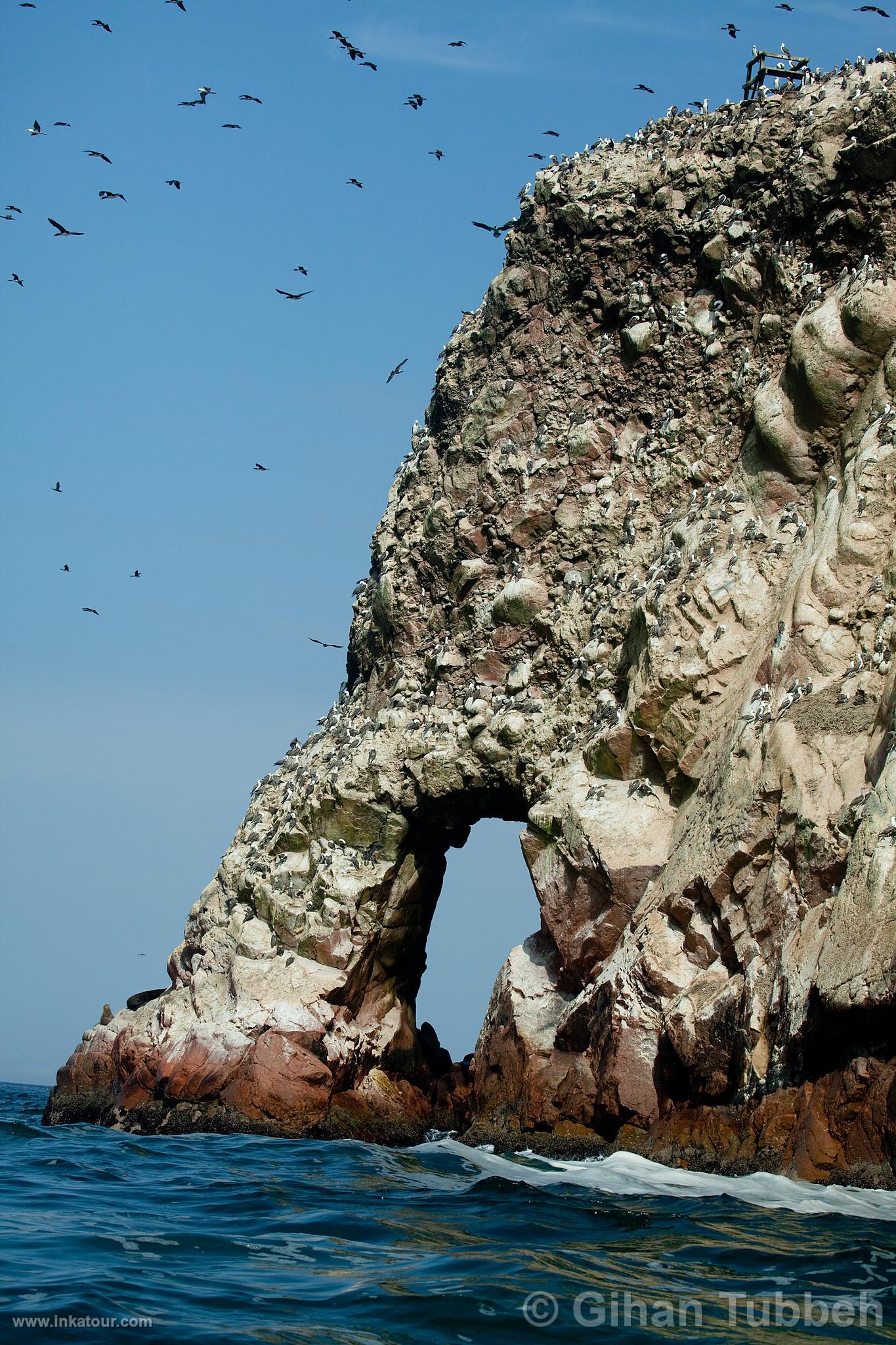 Ballestas, Paracas