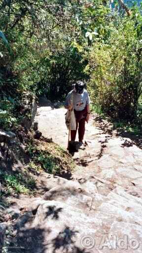 Photo of Peru