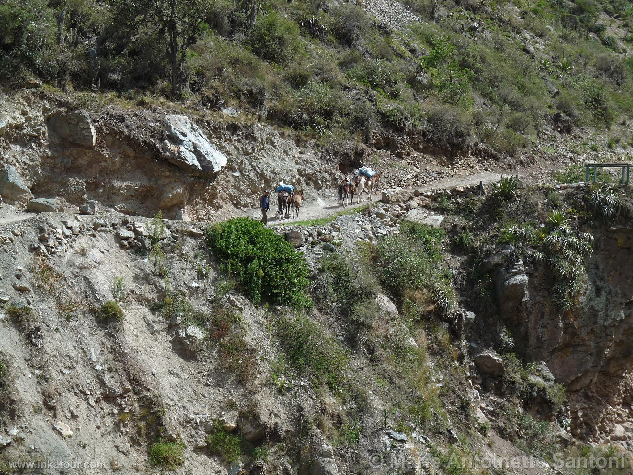 Photo of Peru