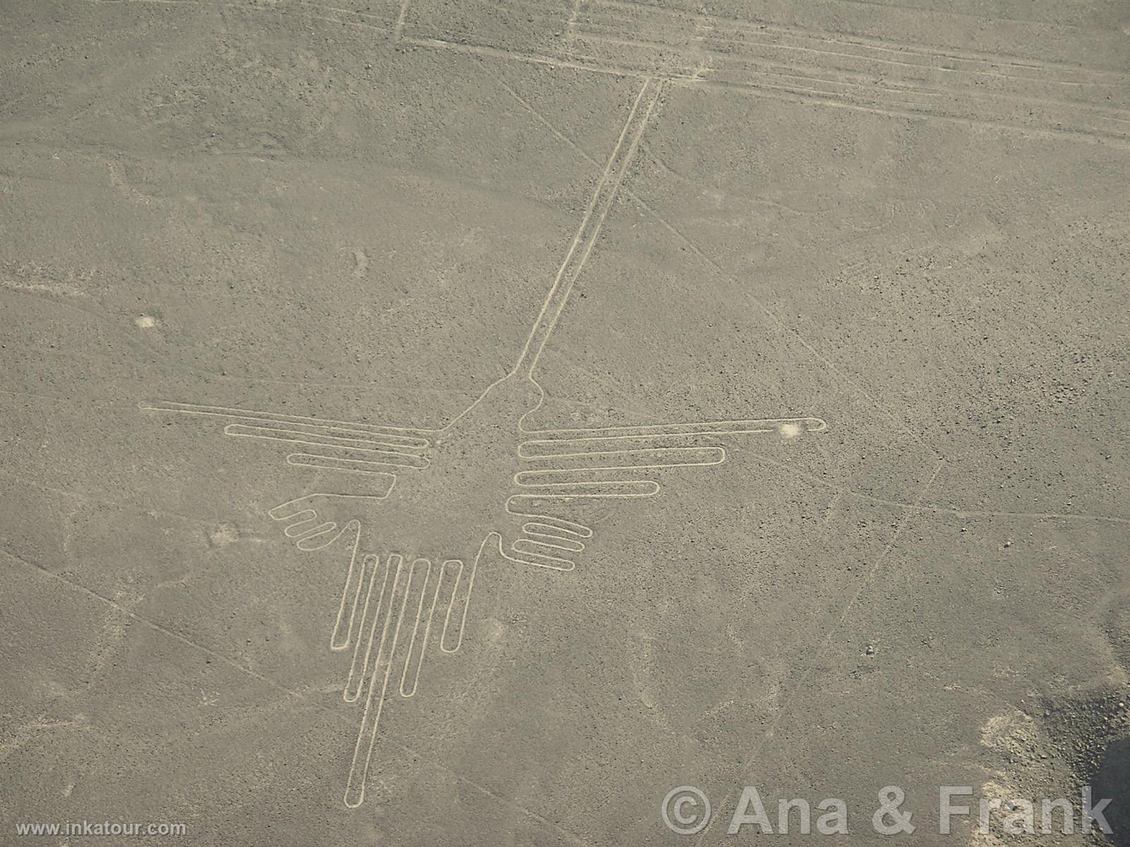 Nazca