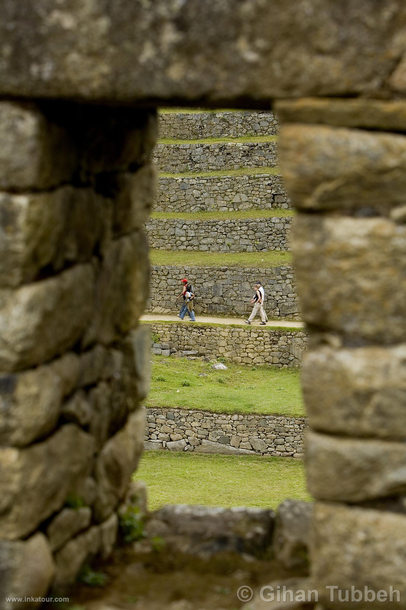 Citadel of Machu Picchu