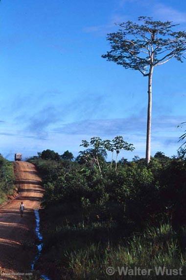 Photo of Peru