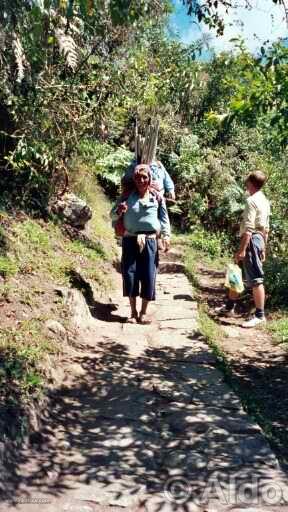 Photo of Peru