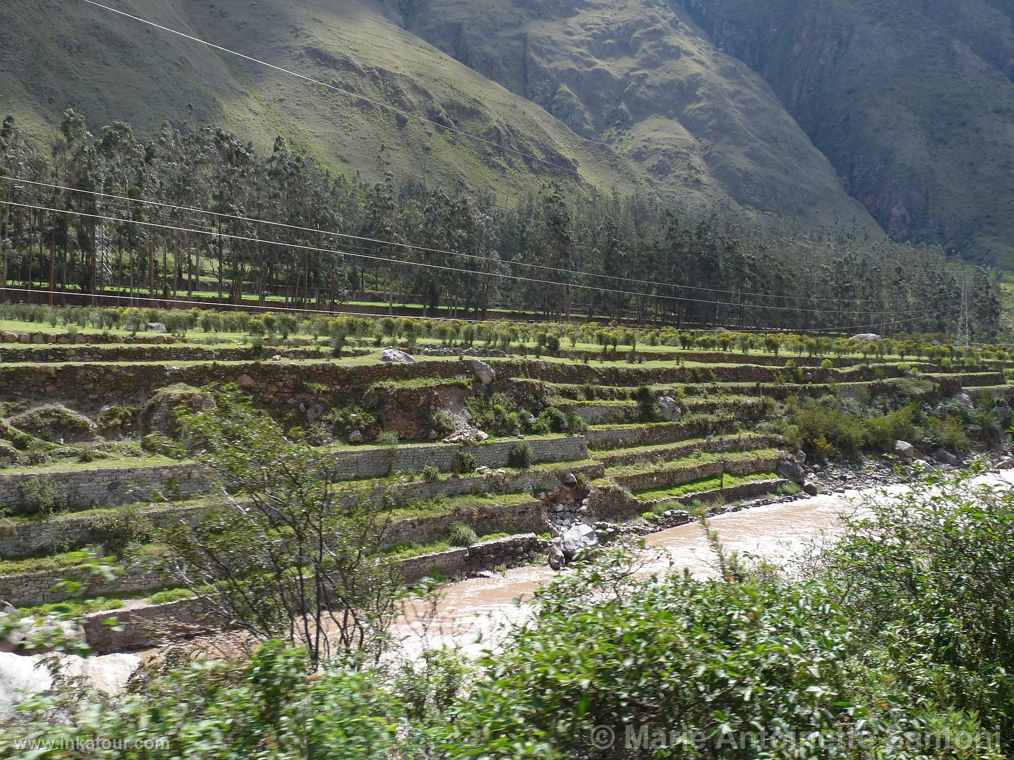 Photo of Peru