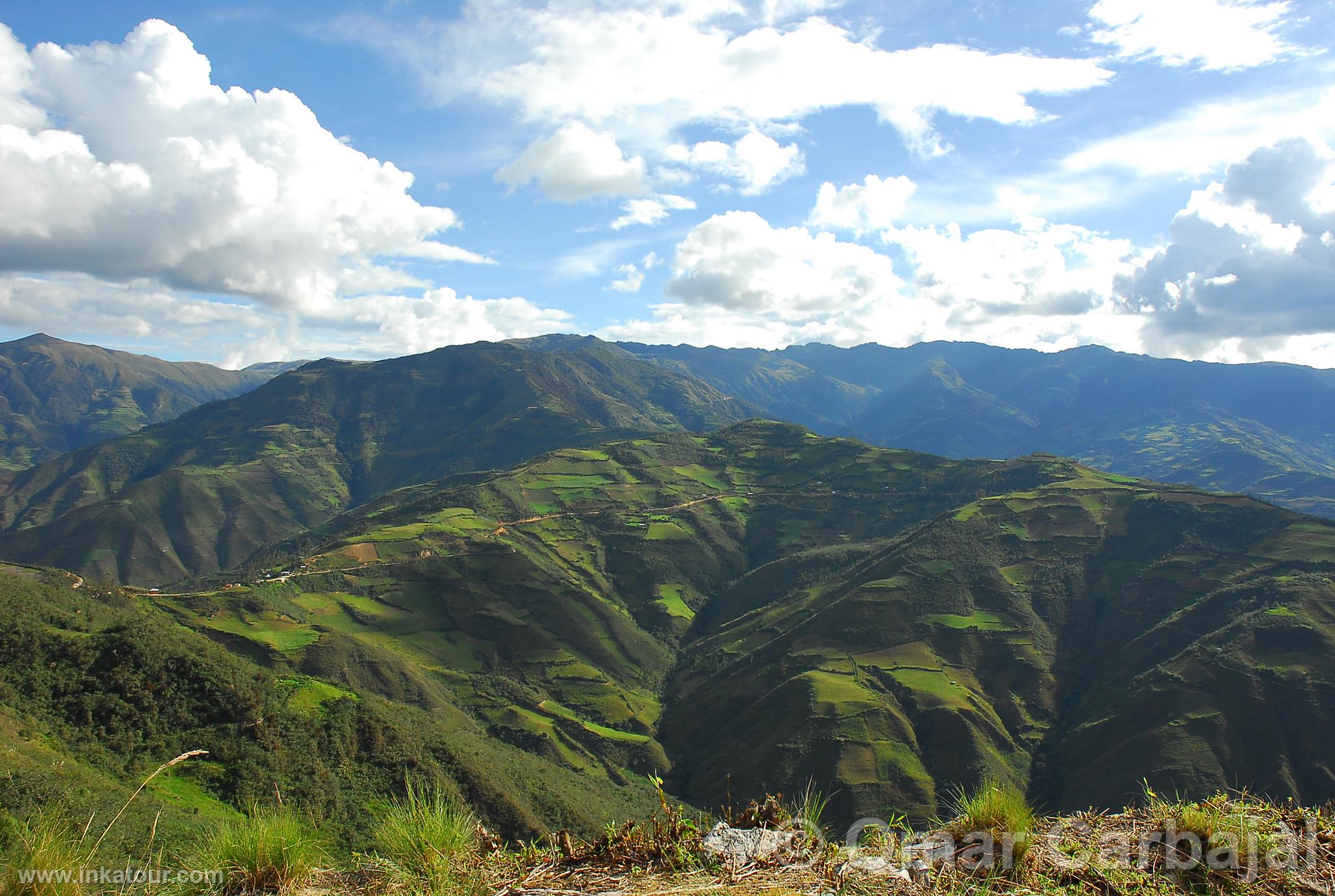 High Jungle Landscape