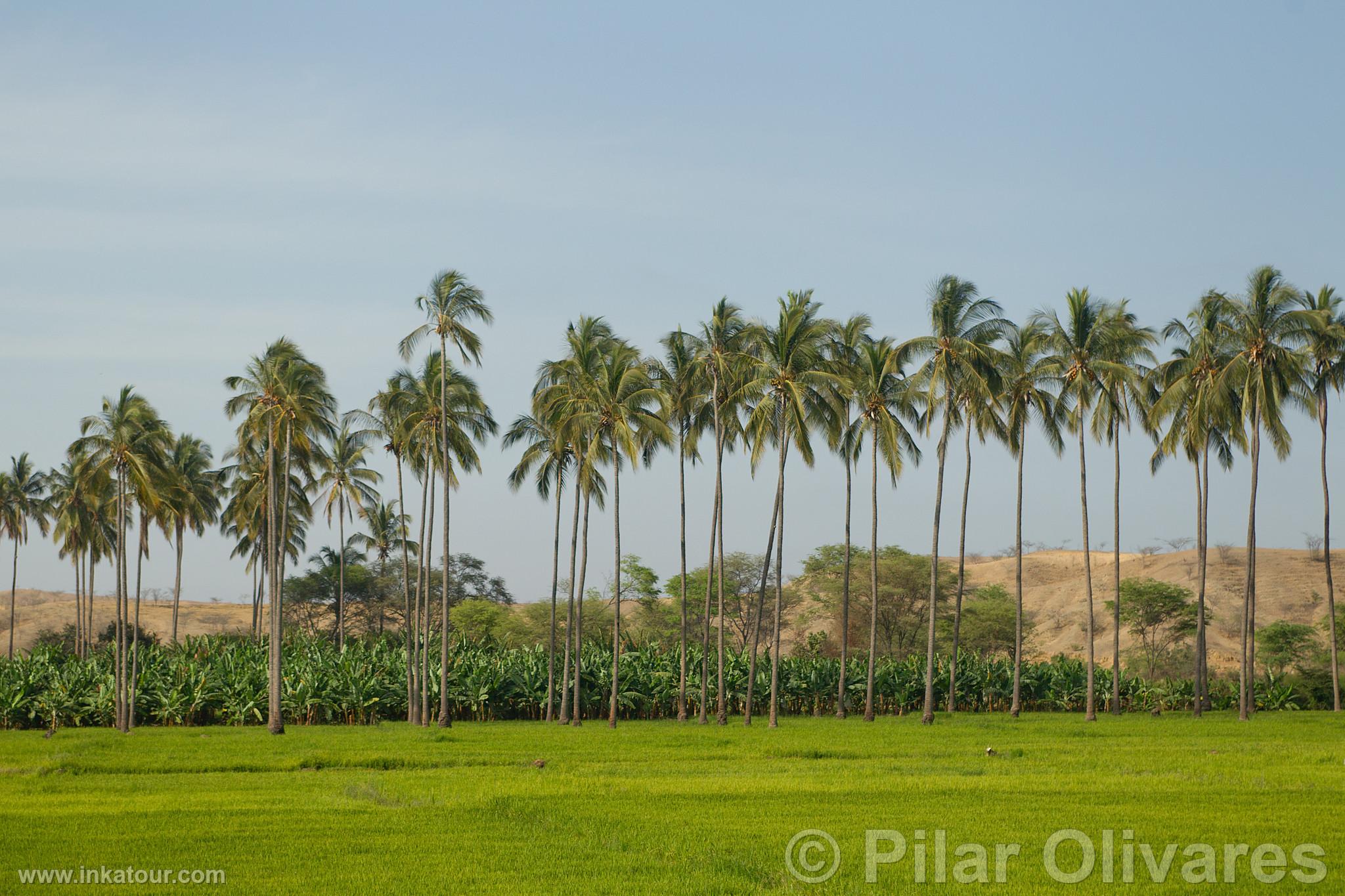 Photo of Peru