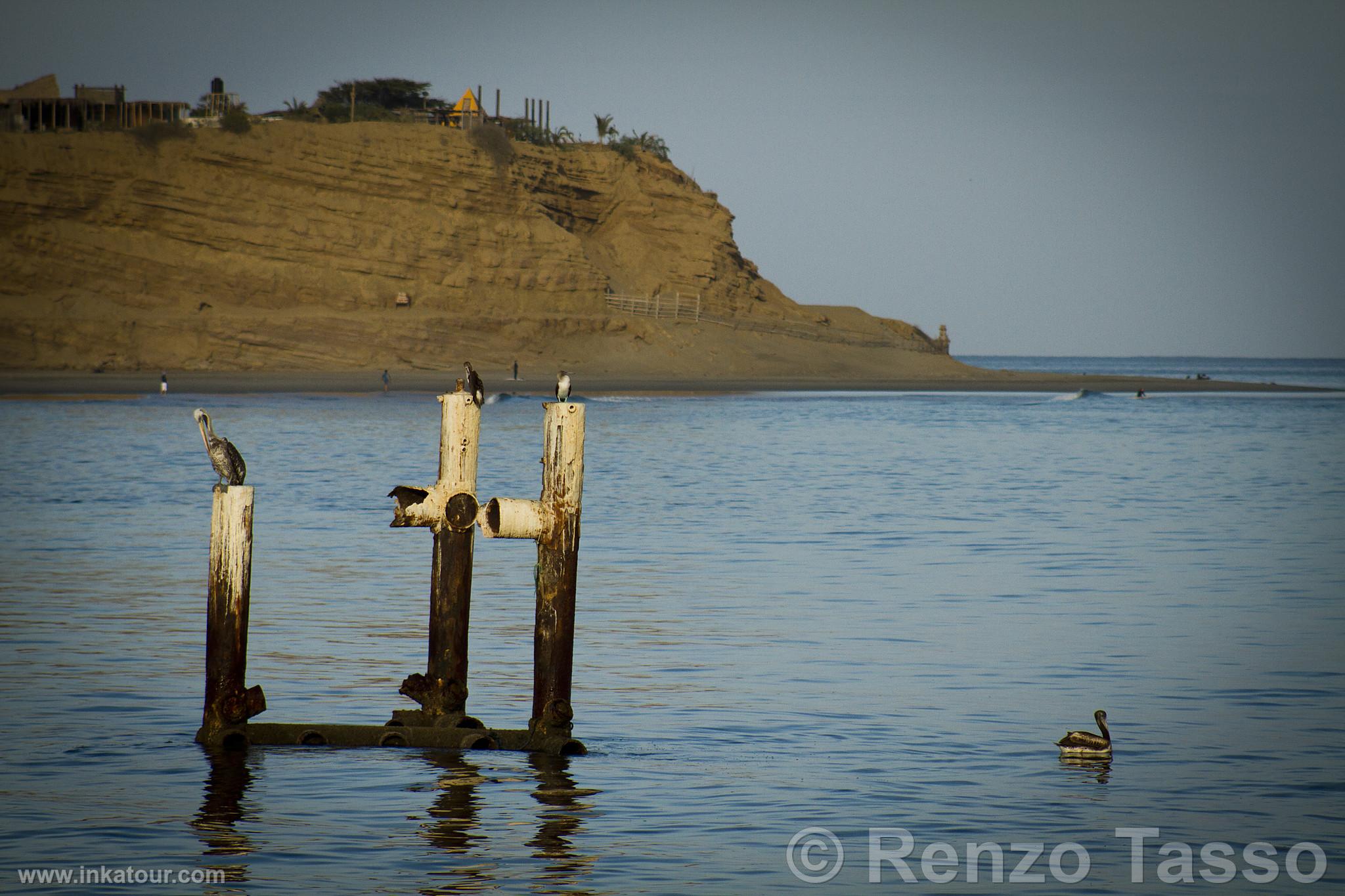 Los rganos Beach