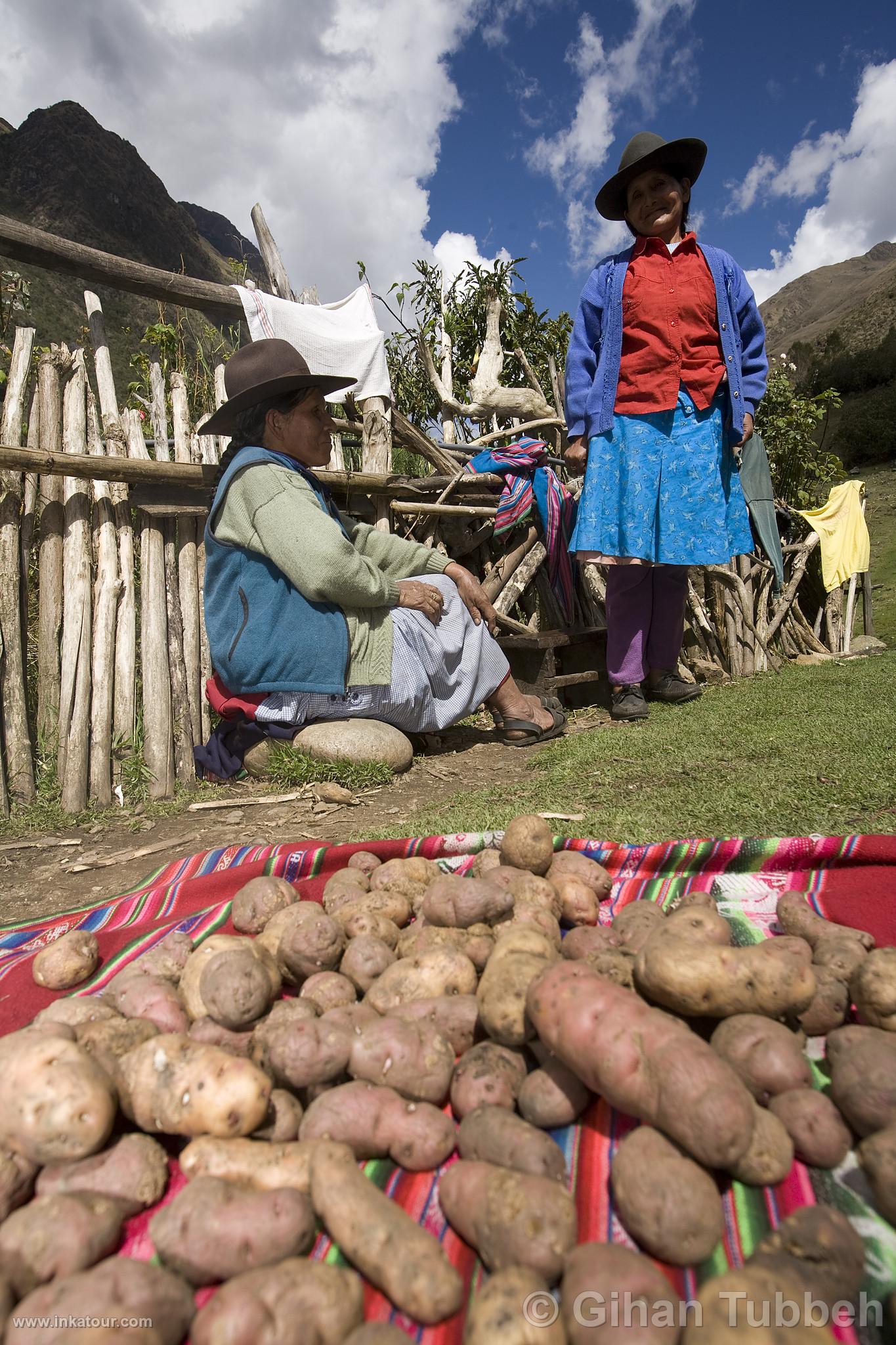 Photo of Peru