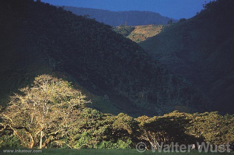 Photo of Peru