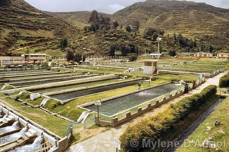 Photo of Peru