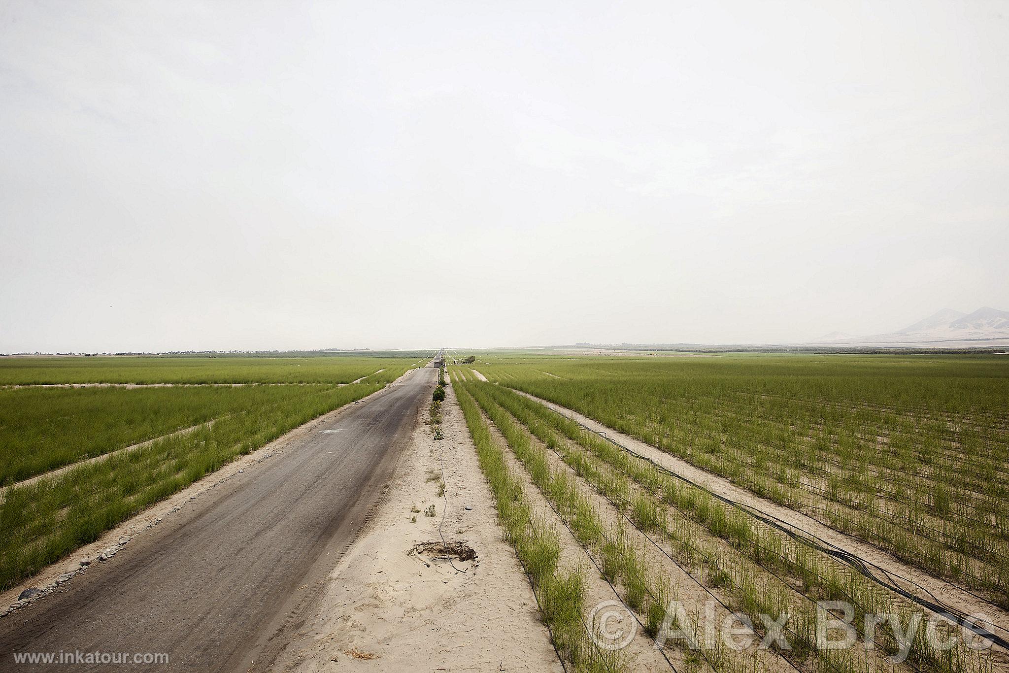 Photo of Peru