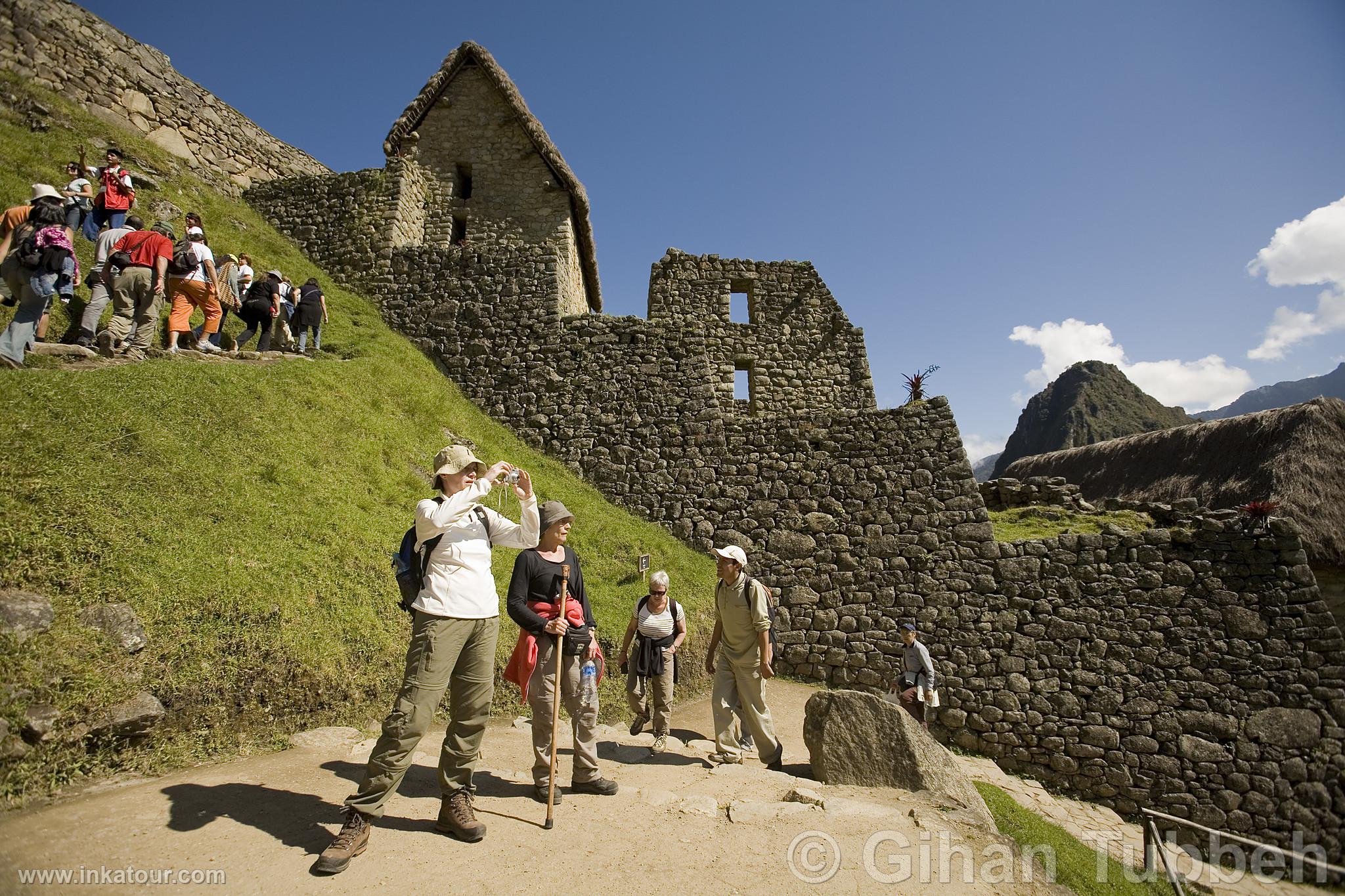 Citadel of Machu Picchu