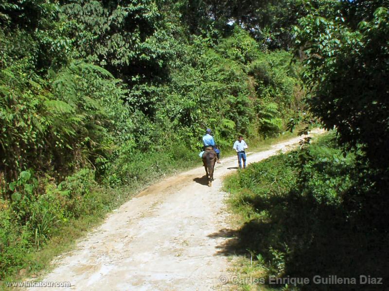 Photo of Peru