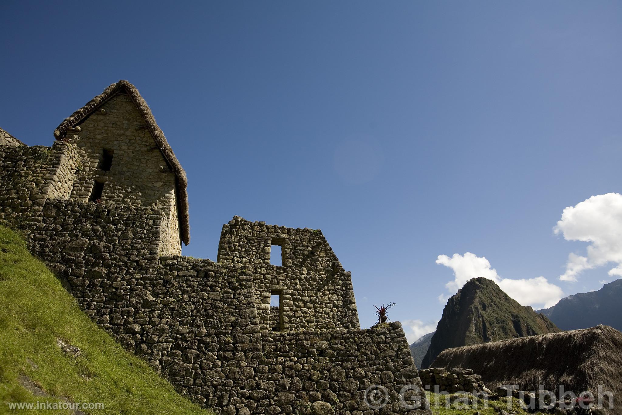 Citadel of Machu Picchu