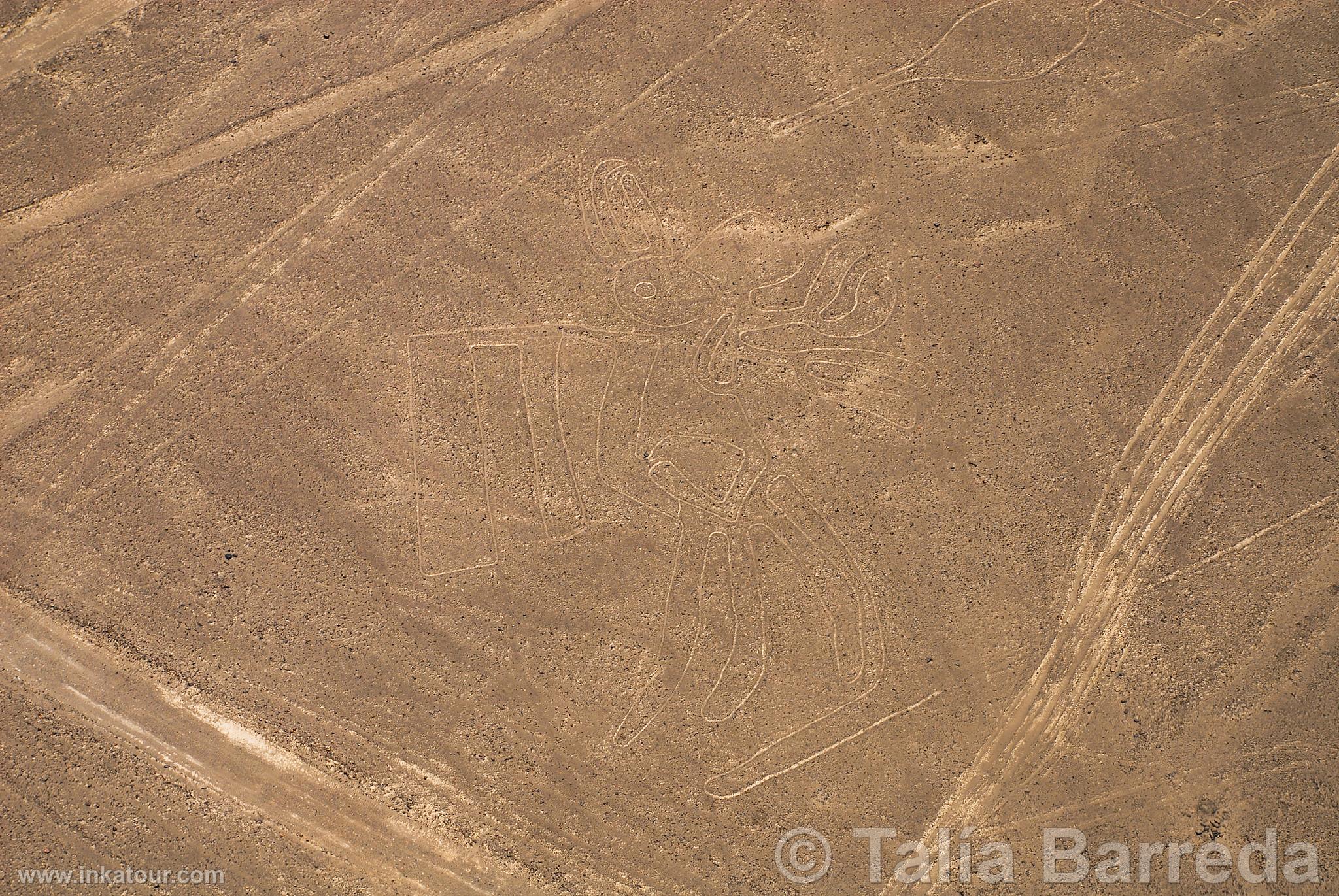 Nazca lines