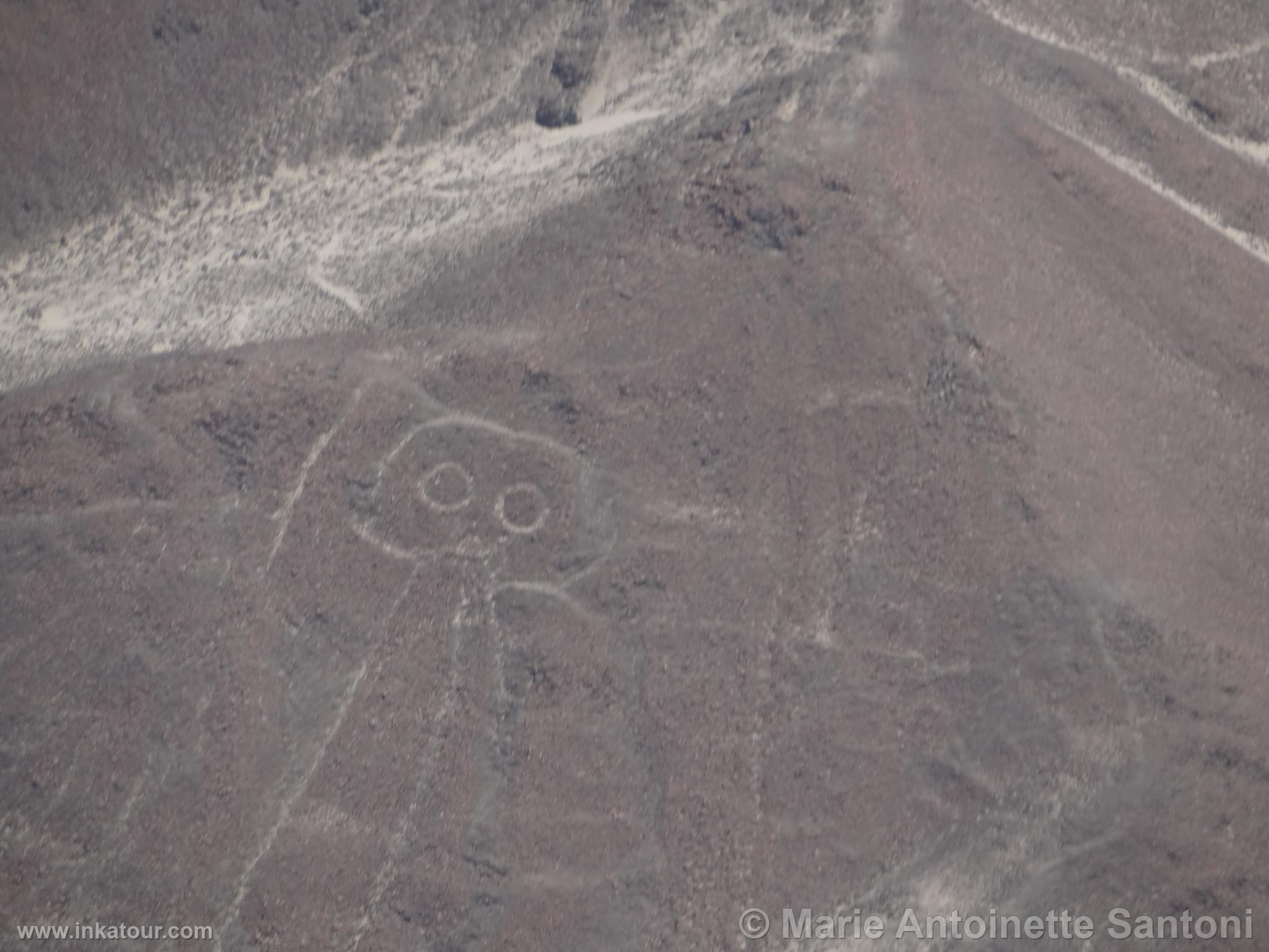 Nazca lines