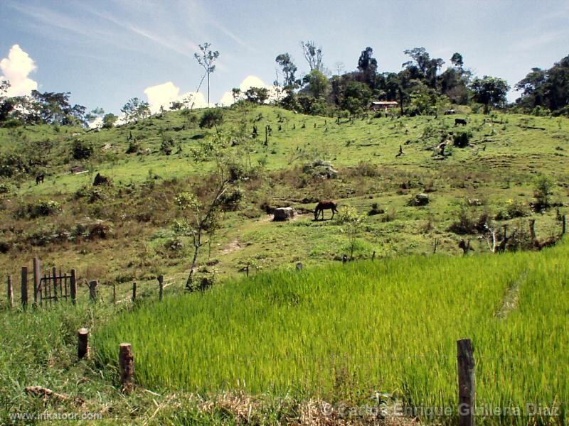 Photo of Peru