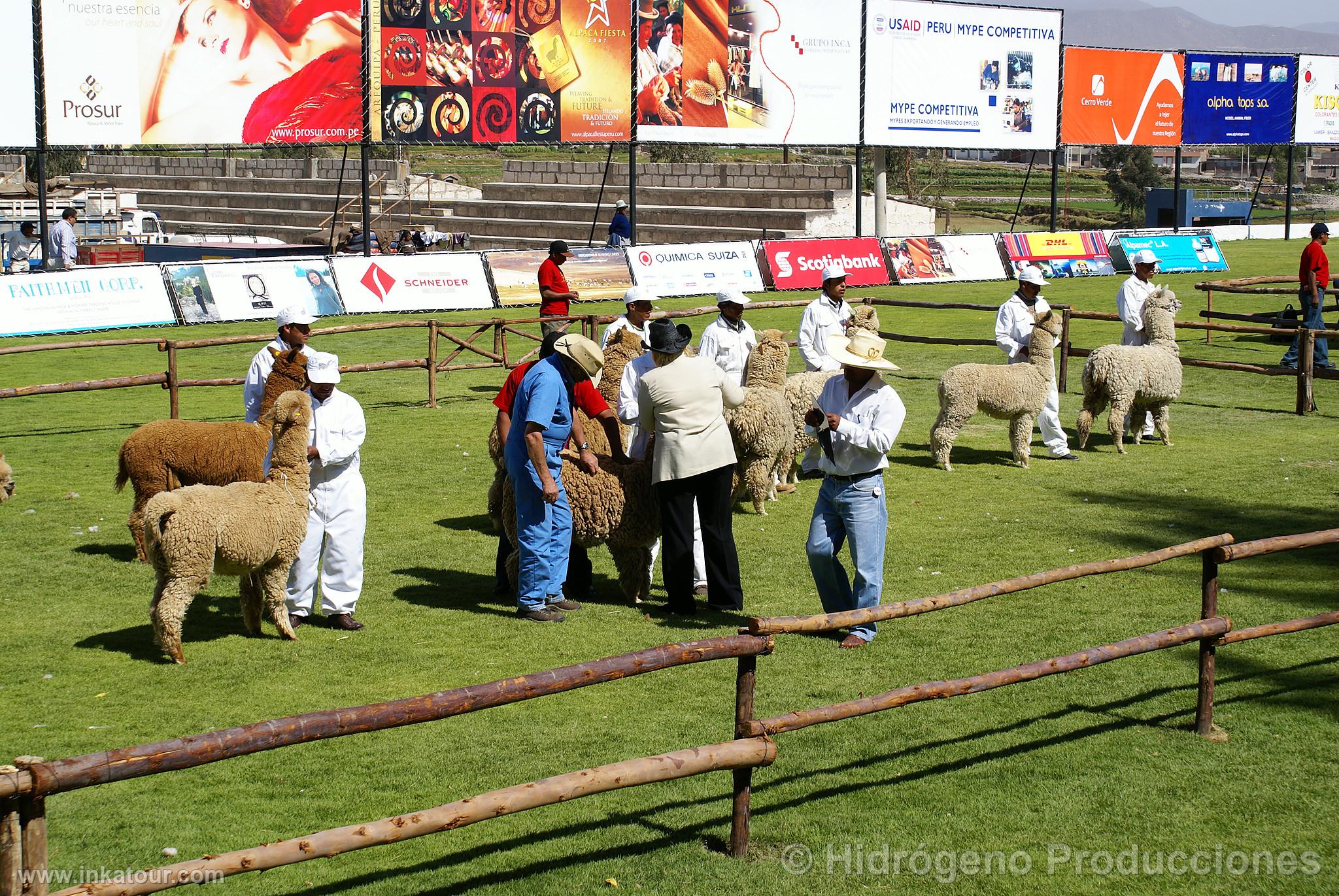 Photo of Peru