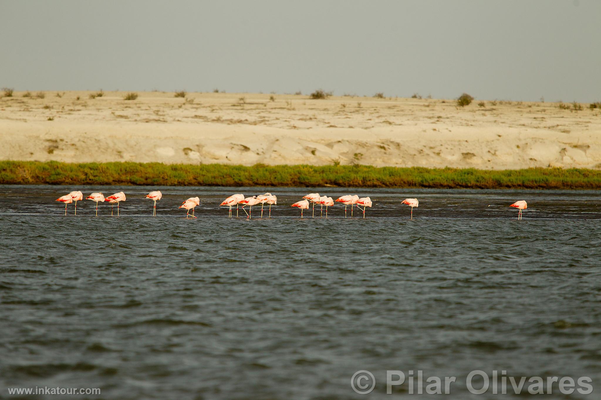 Photo of Peru