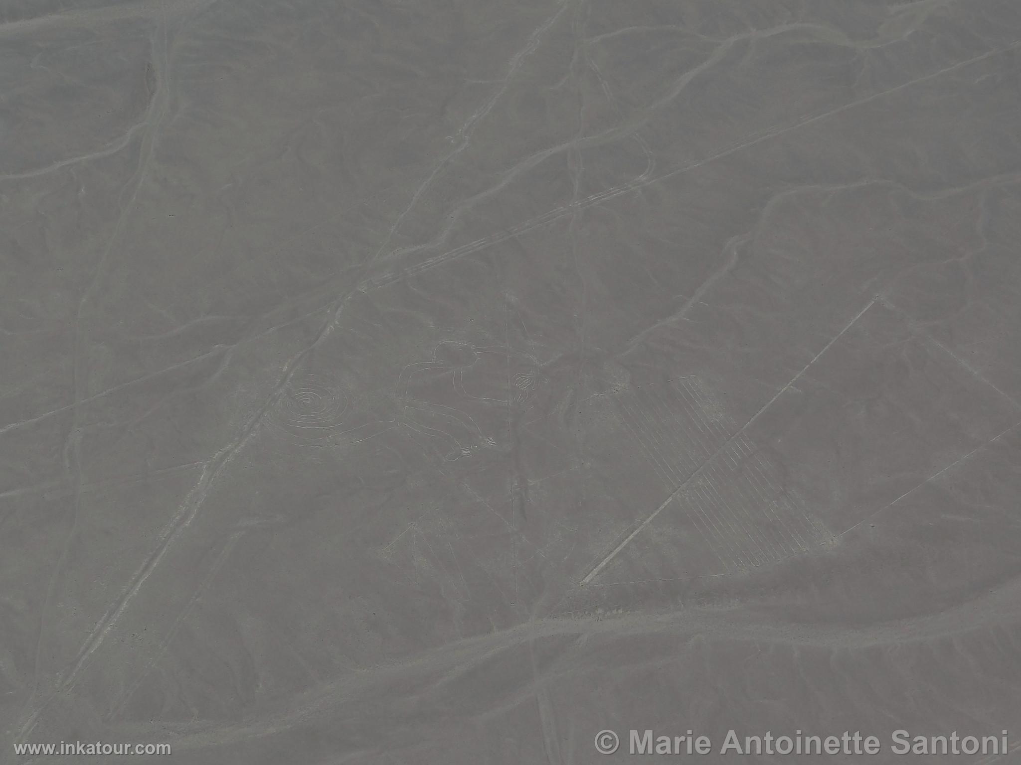 Nazca lines