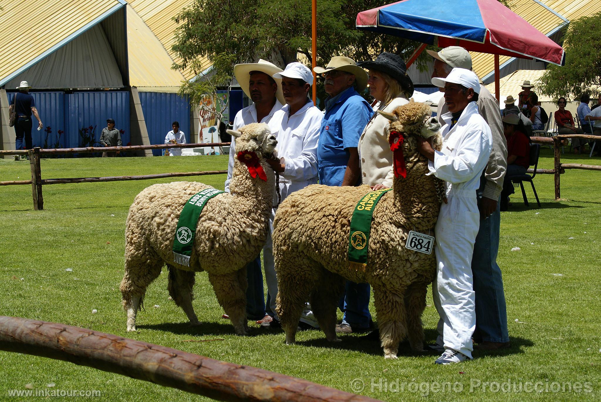 Photo of Peru