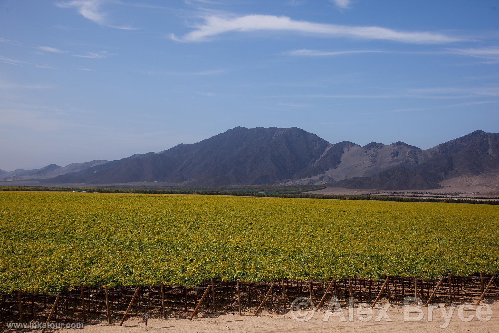 Photo of Peru