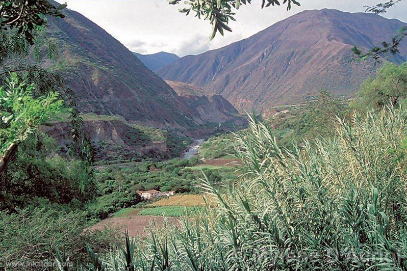 Photo of Peru