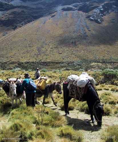 White Cordillera