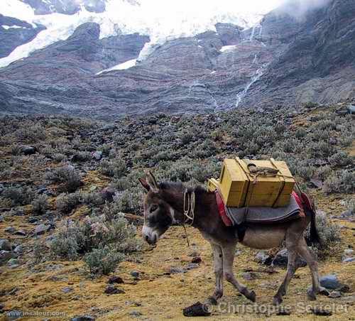 White Cordillera