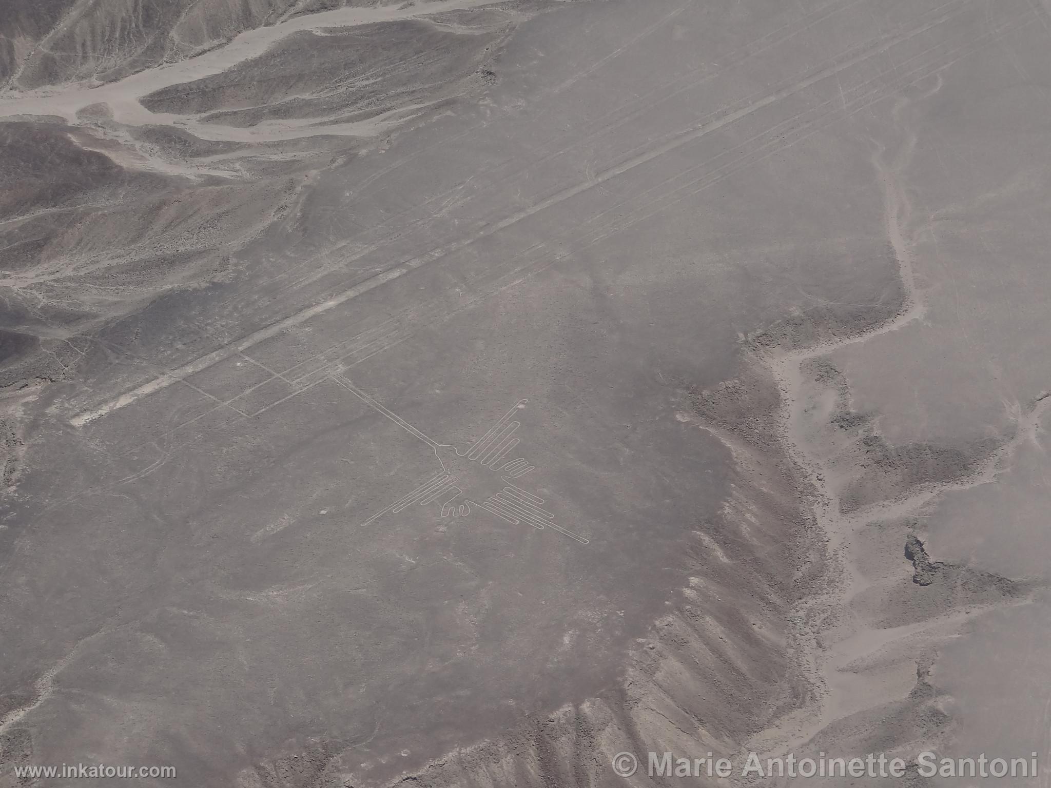 Nazca lines