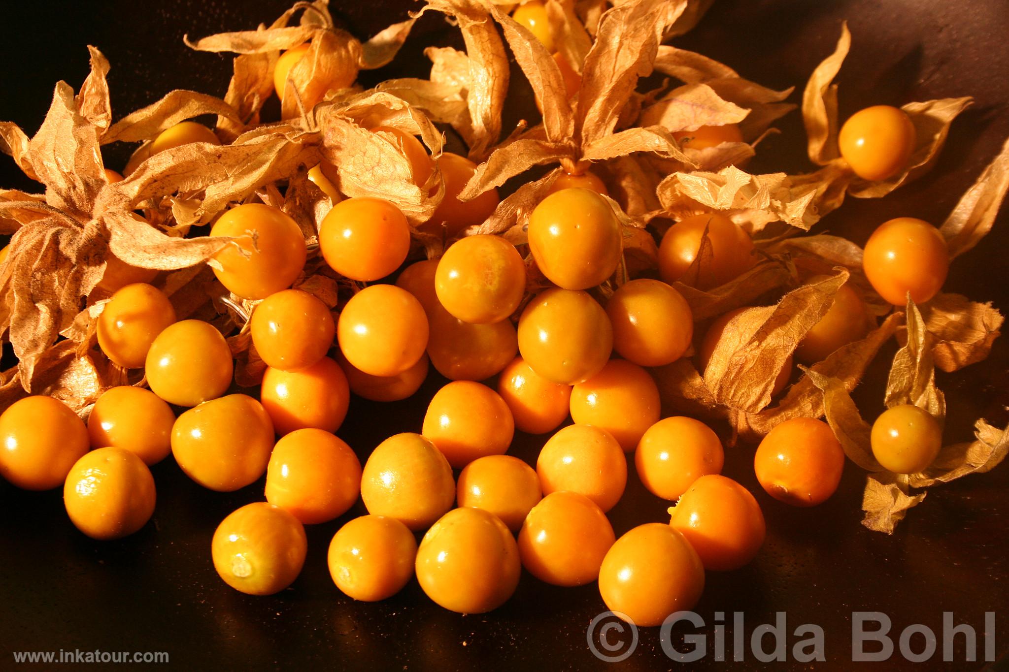 Goldenberry