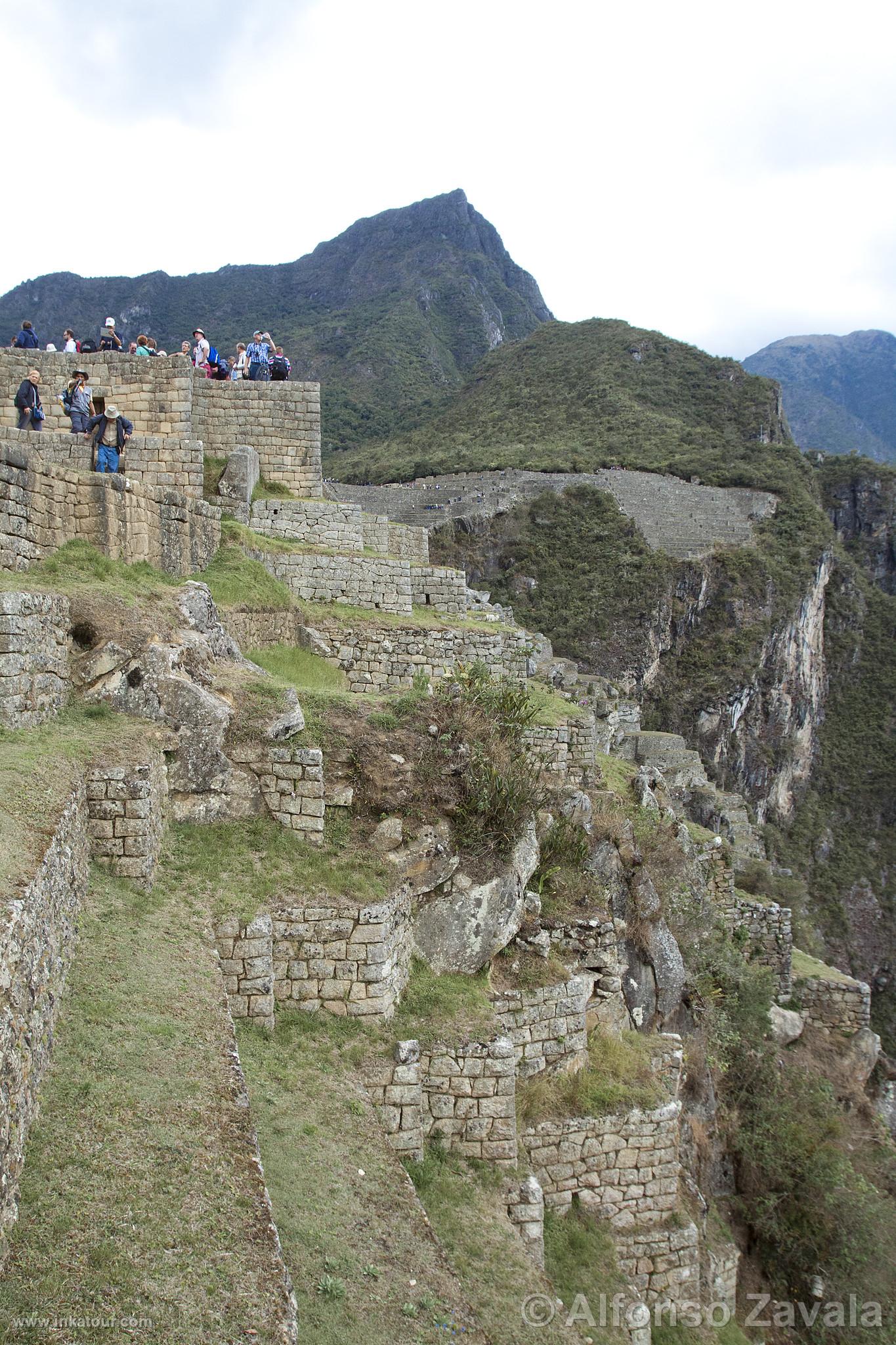 Citadel of Machu Picchu