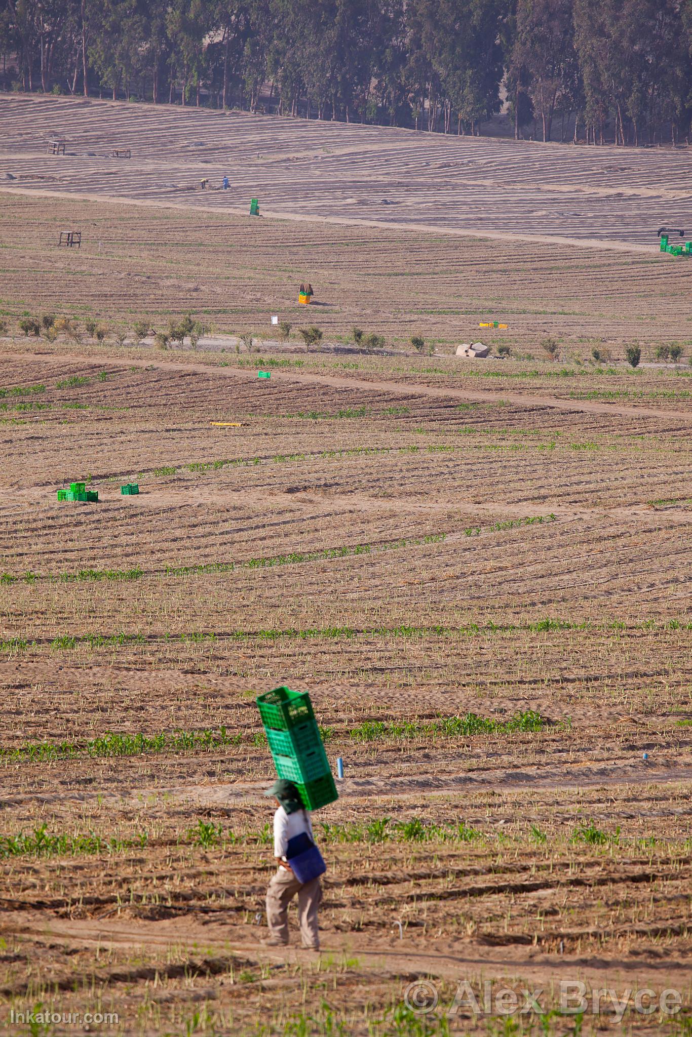 Photo of Peru