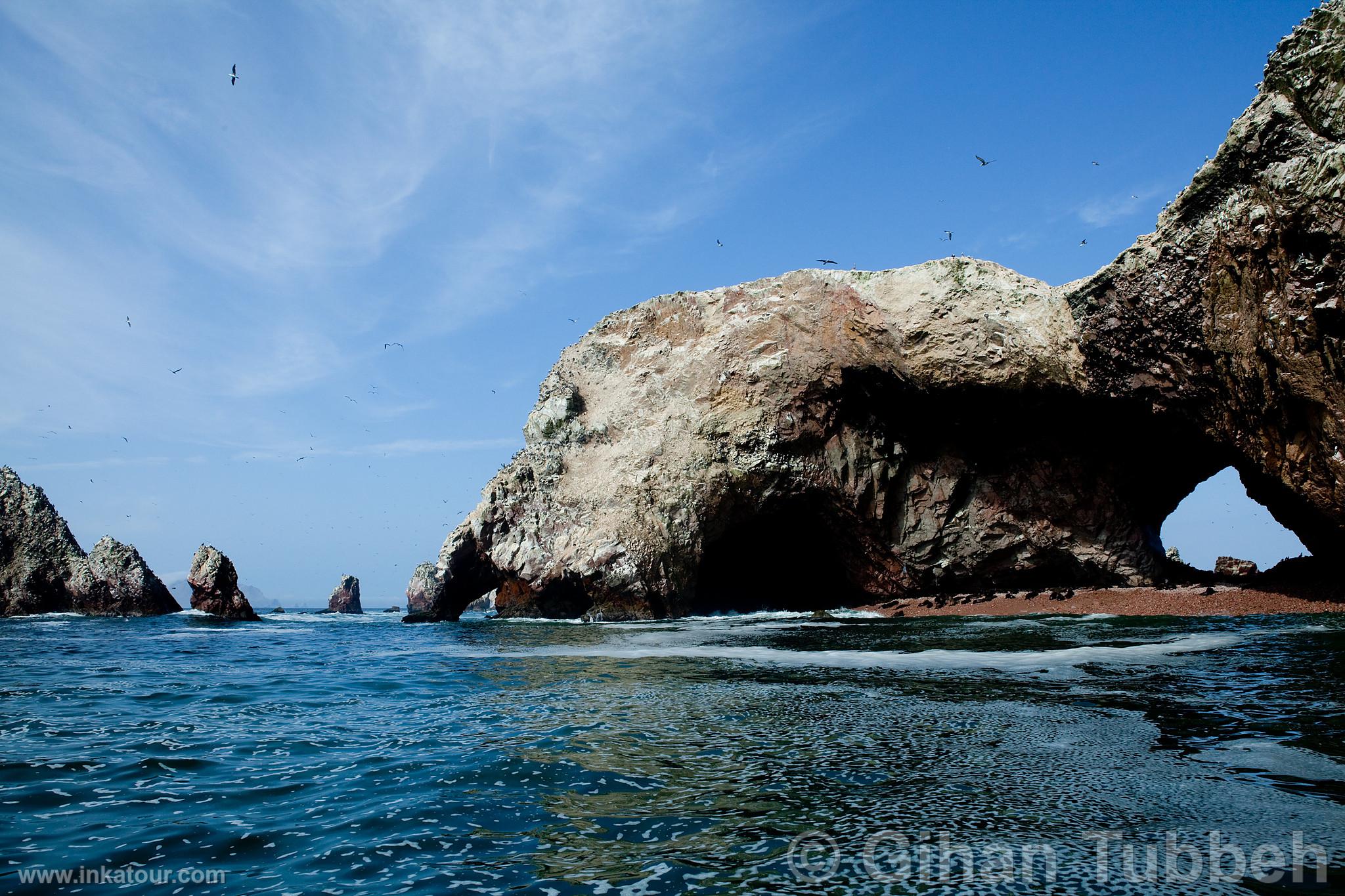 Ballestas, Paracas