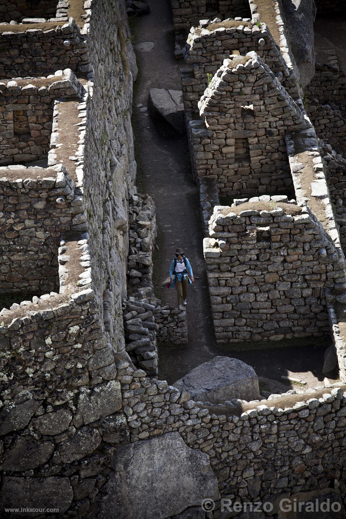 Citadel of Machu Picchu