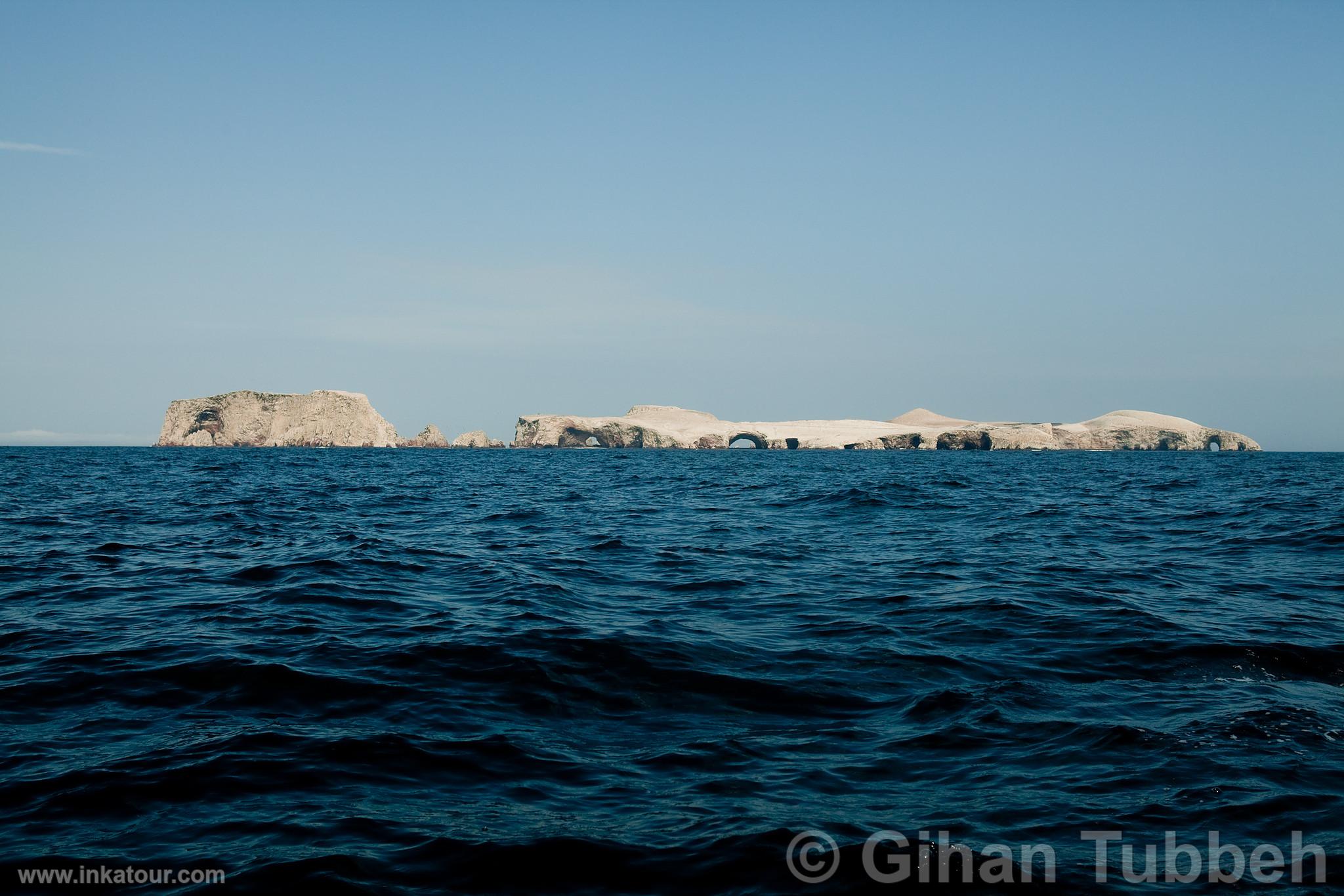 Ballestas, Paracas