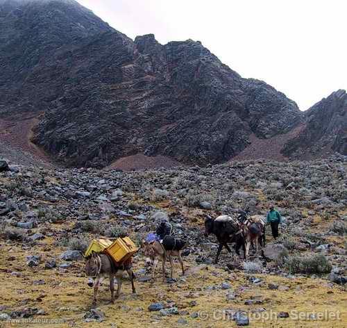 White Cordillera