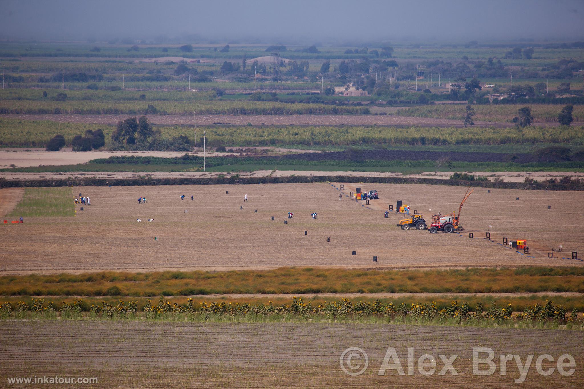 Photo of Peru