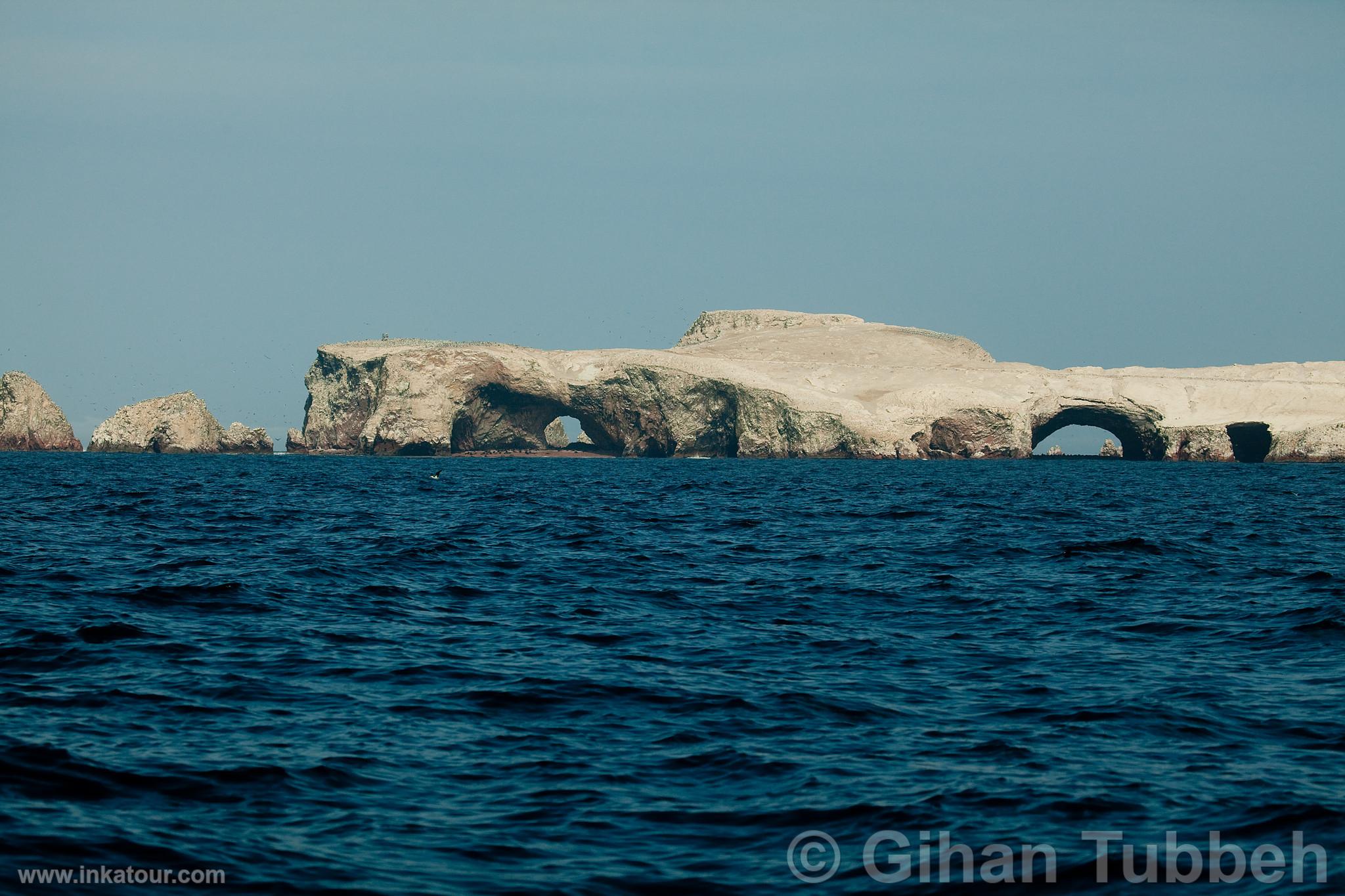 Ballestas, Paracas