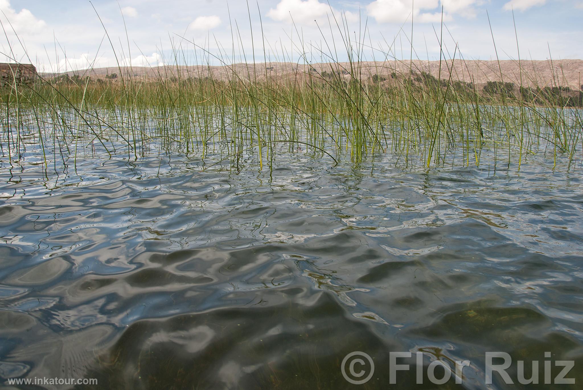 Titicaca Lake