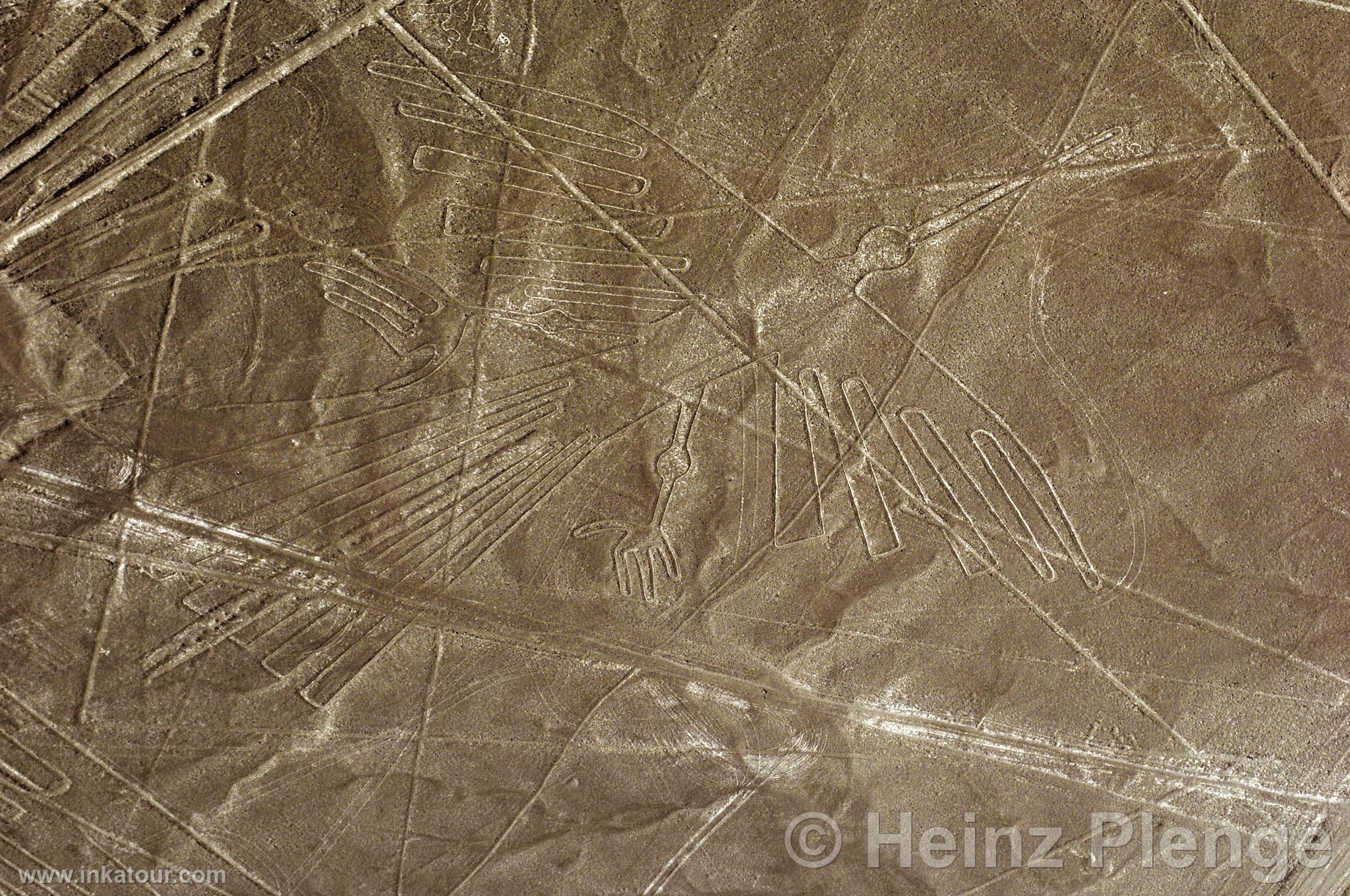 Nazca lines