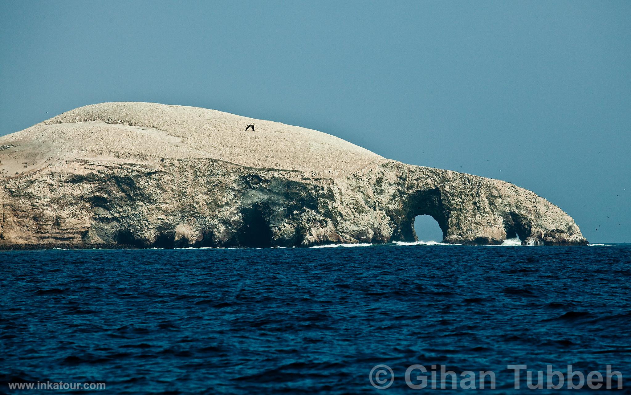 Ballestas, Paracas