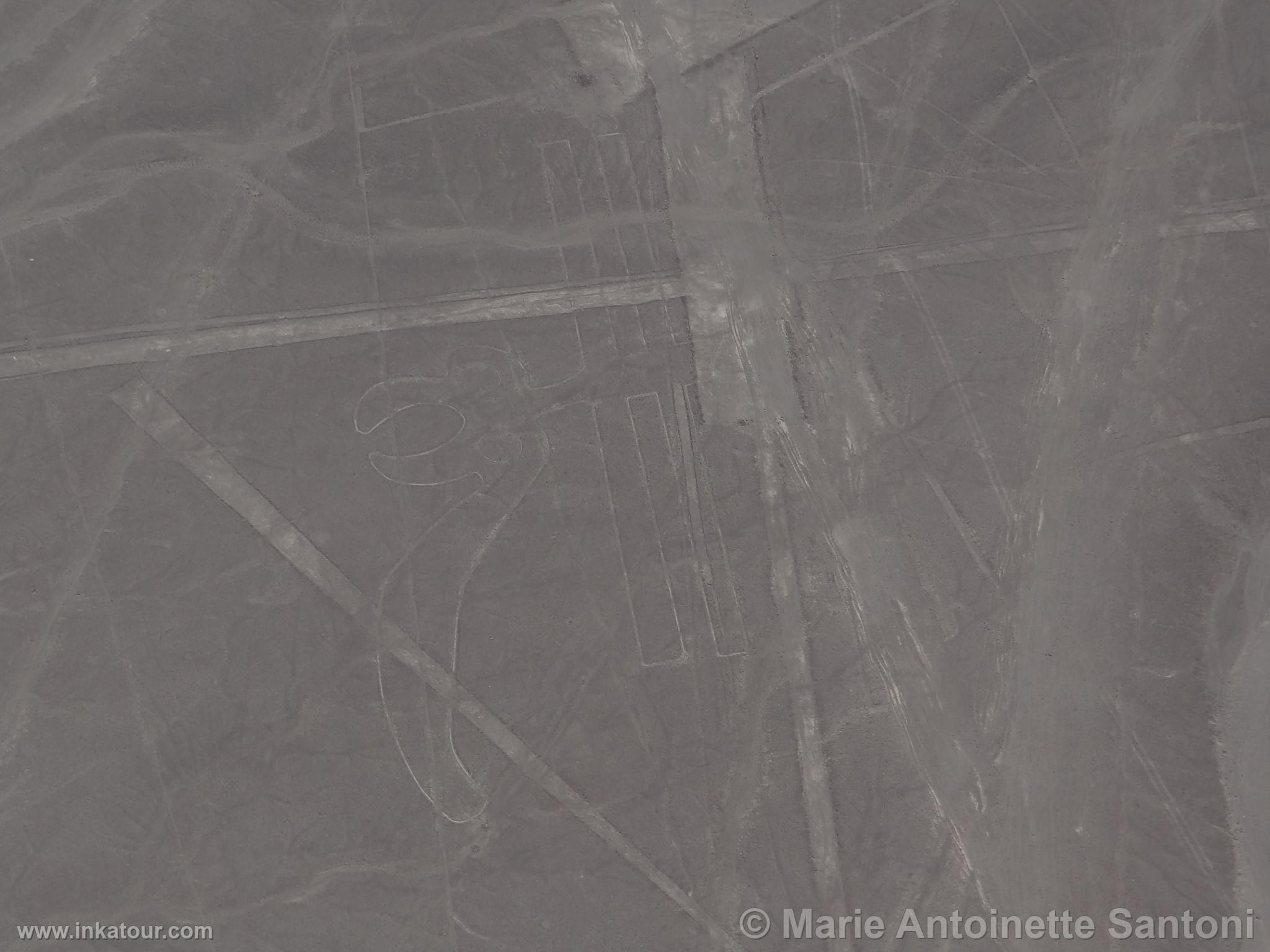 Nazca lines