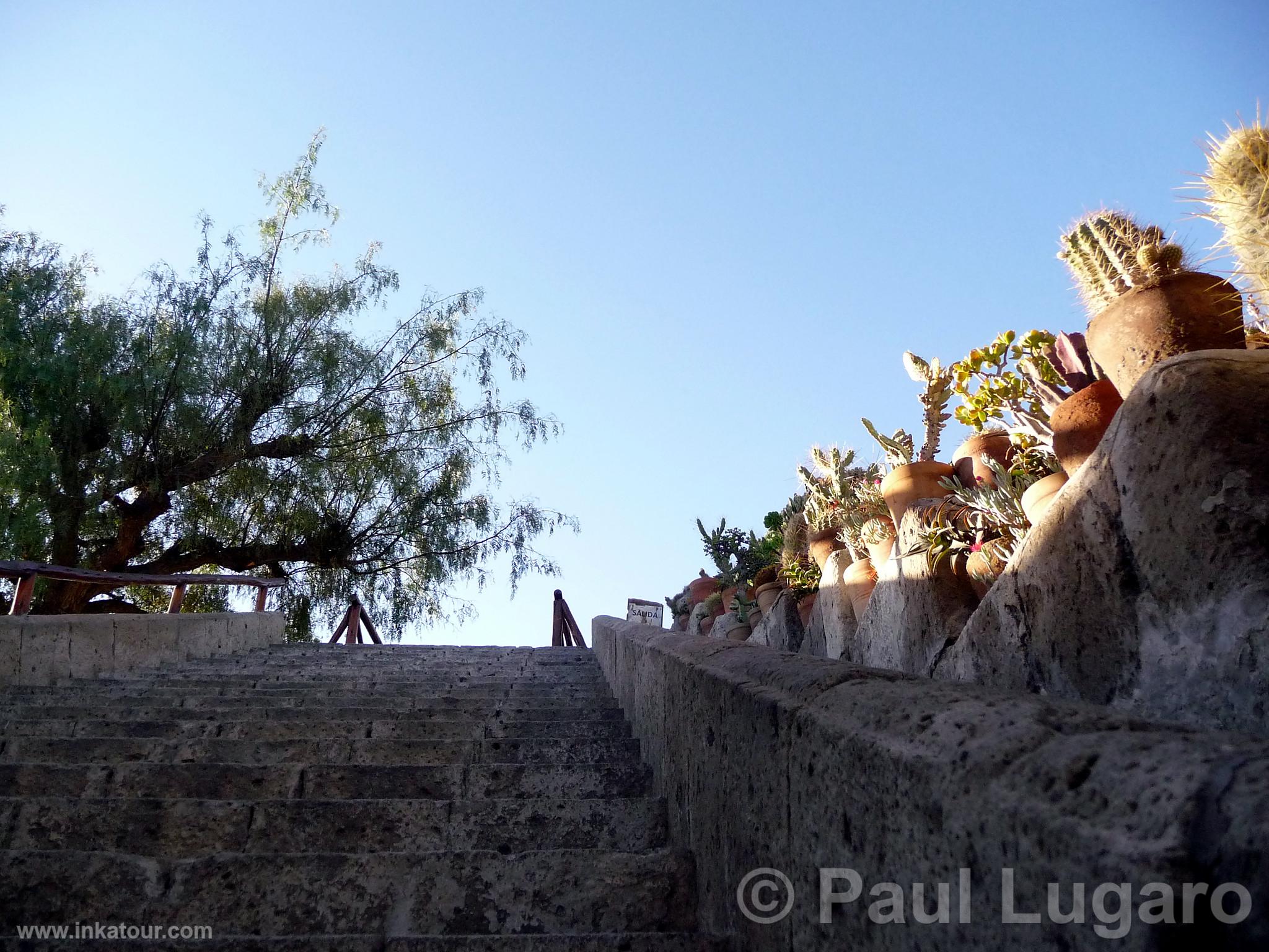 Arequipa