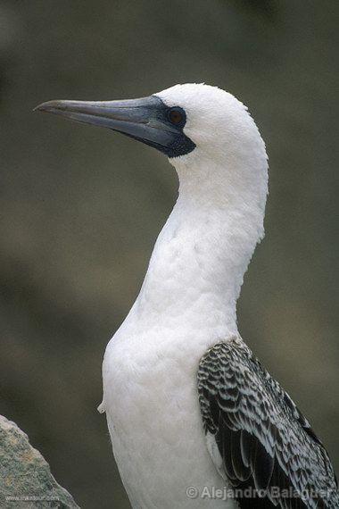 Photo of Peru