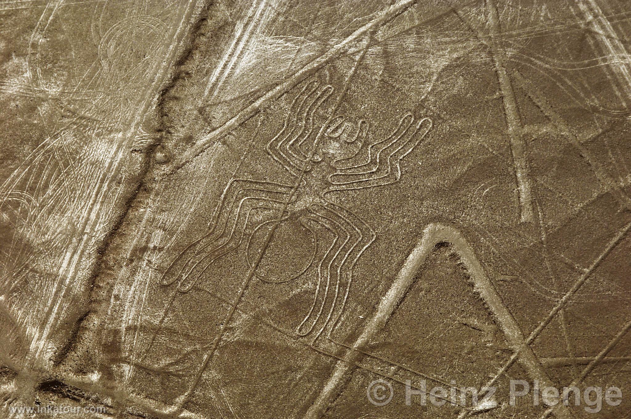 Nazca lines