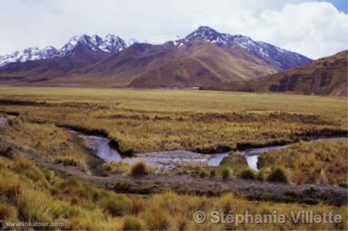 Train between Puno and Cuzco